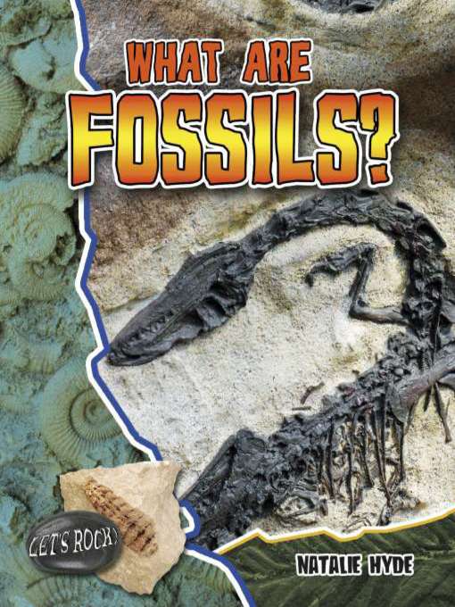 Title details for What are Fossils? by Natalie Hyde - Available